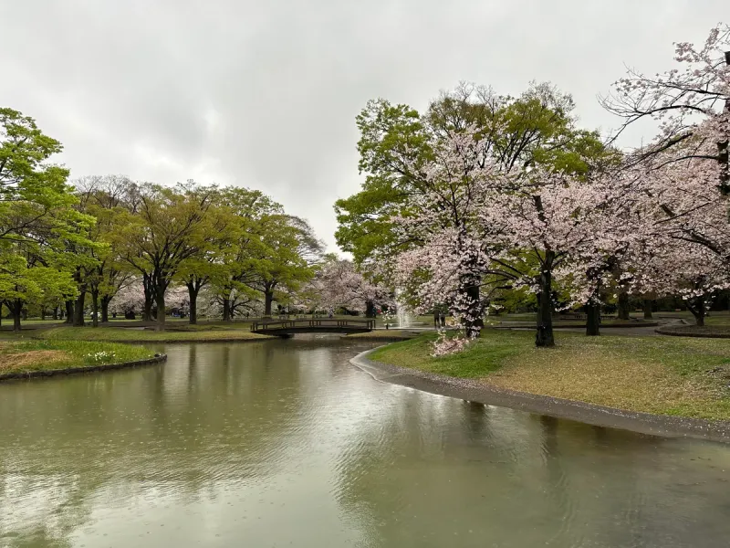 Yoyogi Park