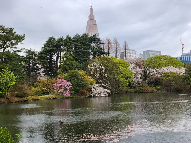 Shinjuku Gyoen National Garden